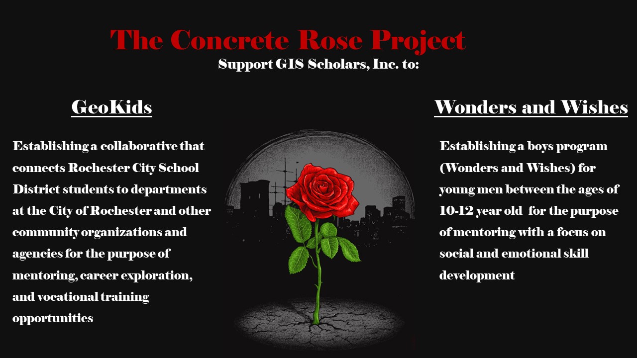 Image for Concrete Rose Project