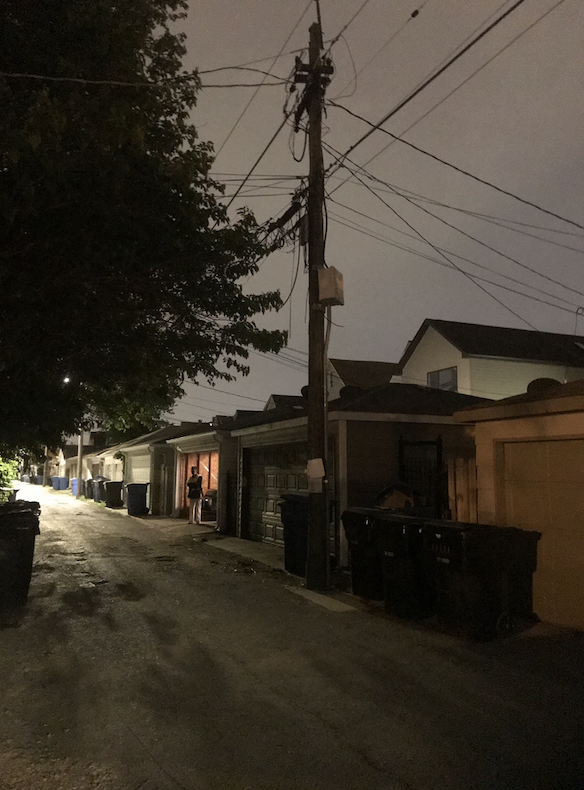 This is a real alley in the 33rd Ward 