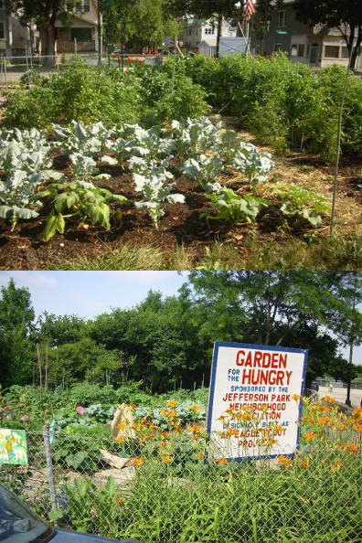 Image for Olive's Neighborhood Garden Expansion