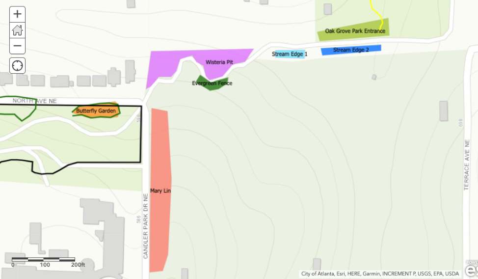 Image for Freedom Park Trail Invasive Removal and Beautification