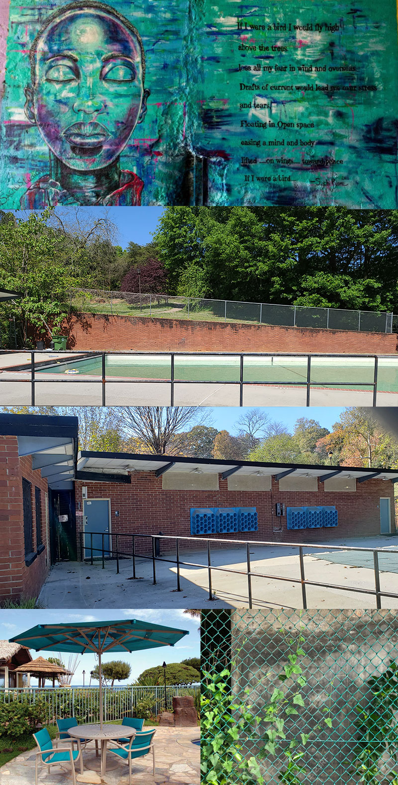 Image for Candler Park Pool Improvements- Shade, Paint, &amp; Mural