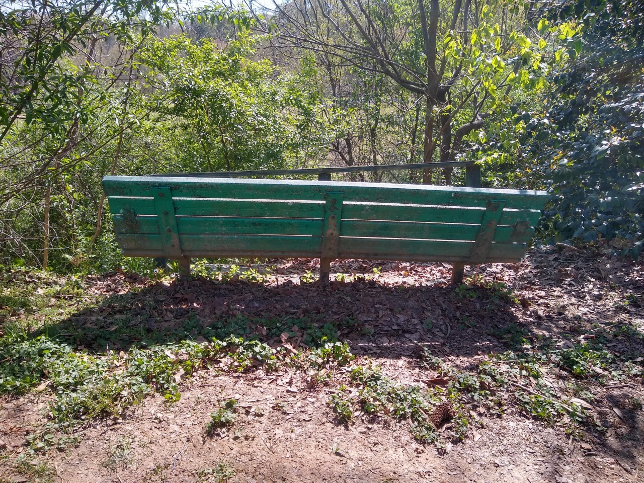 Image for Repair &amp; Move Benches in Candler Park