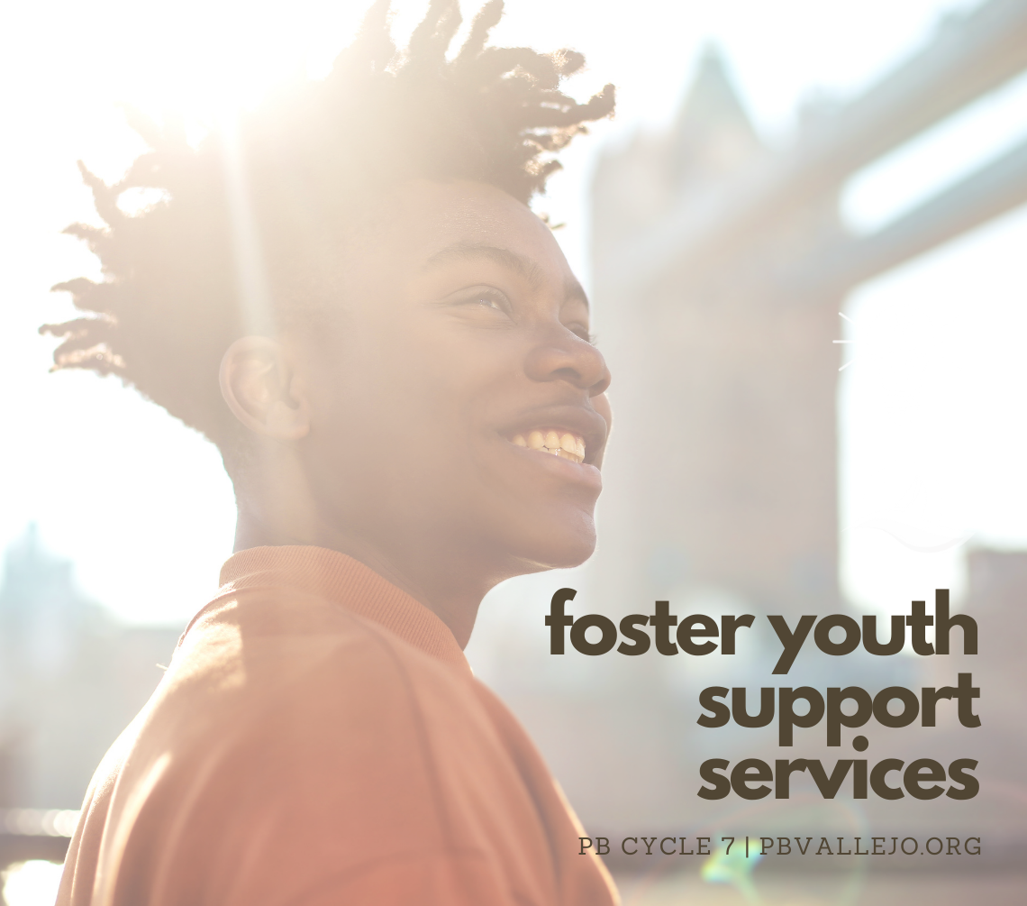 Image for Foster Youth Support Services
