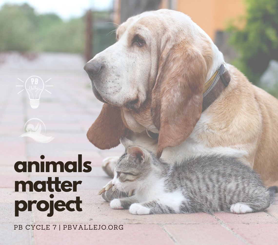 Image for Animals Matter Project 