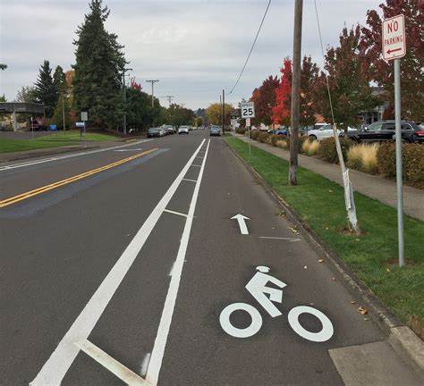 This image is an example of a buffered bike lane.