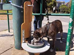 Image for Tenderloin Dog Park