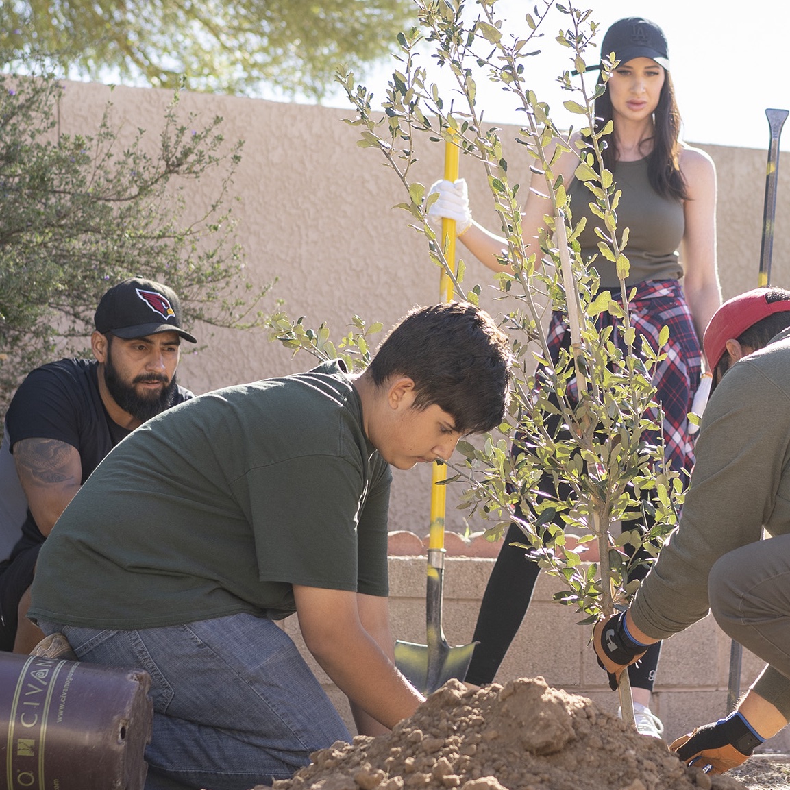 Family planting a tree