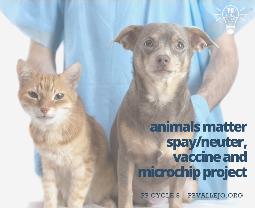 Image for Animals Matter proyecto de esterilización, vacunación y microchip	Animals Matter Proyecto de esterilización, vacunación y microchip