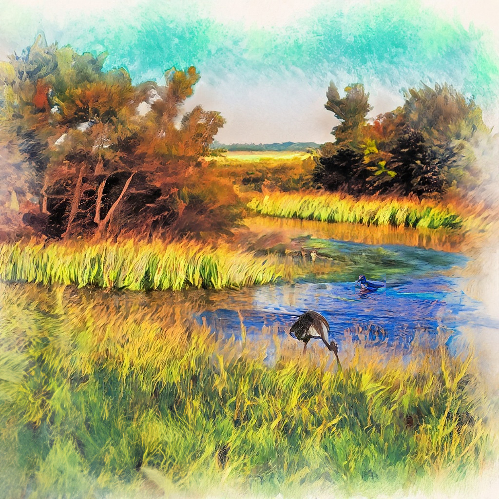 Bird preserve in small restored wetlands in a vibrant and colorful style with bold strokes and fine details.