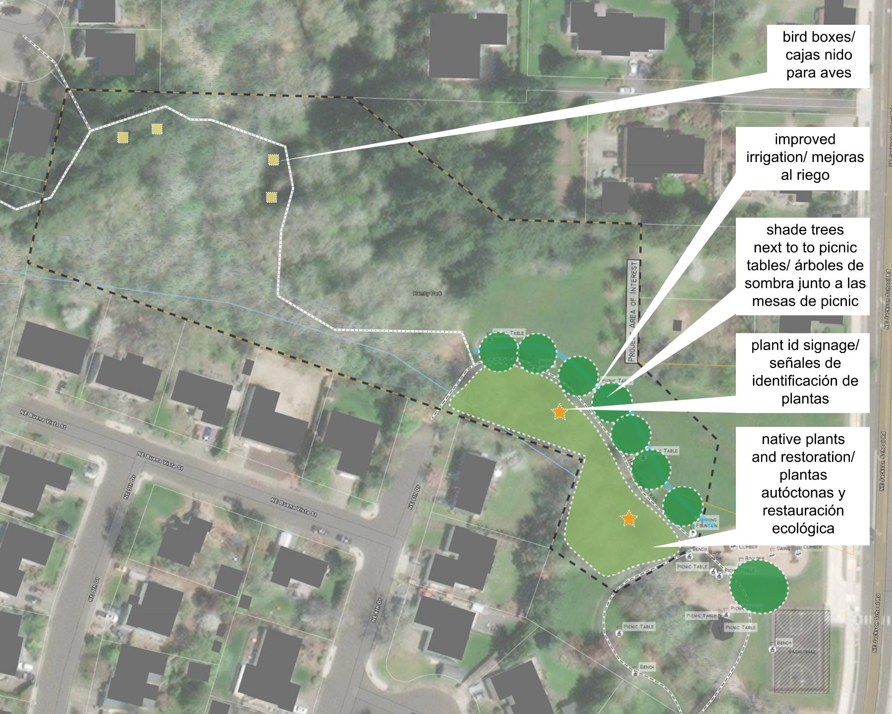 Image alt text: Located off NE Jackson School Road and nestled between clusters of homes, new trees will shade picnic tables near the existing park area. Further back into the site along a footpath, a native plant and restoration area with plant ID signage will be on the south side of the path, shade trees and picnic tables on the north side of the path, and bird boxes nestled along the path furthest from the road. Improved irrigation will help establish the shade tree plantings and increase resiliency of the plantings during heat events.
