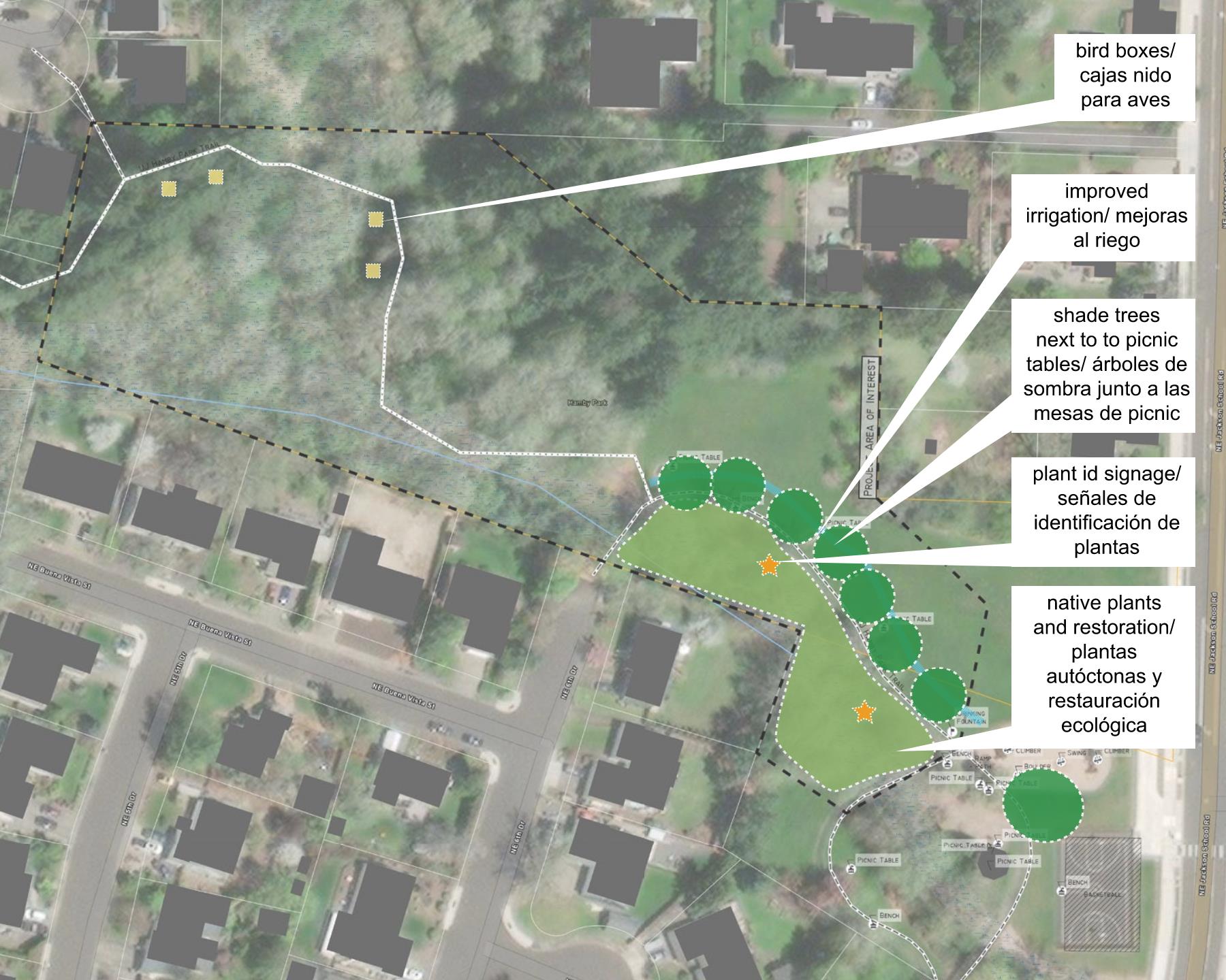 Descripción de la imagen: Ubicado junto a NE Jackson School Road y situado entre un grupo de casas, nuevos árboles brindarán sombra a las mesas de pícnic cerca del área del parque existente. Más atrás en el sitio, a lo largo de un sendero, un área de plantas autóctonas y de restauración con señalización para la identificación de las plantas estará ubicada en el lado sur del sendero. En el lado norte del sendero, habrá árboles de sombra y mesas de pícnic, además de pajareras en la sección del sendero más alejada de la calle. Una mejor irrigación ayudará a establecer los árboles de sombra plantados e incrementará la resiliencia de la siembra durante los eventos de calor.