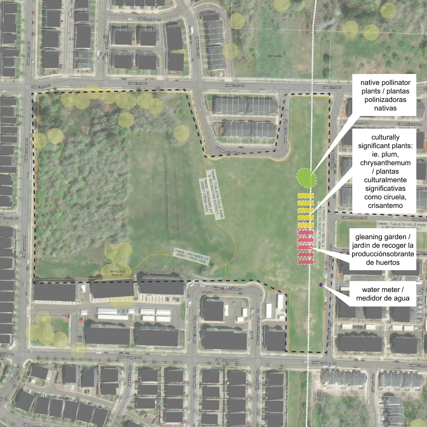 Image alt text: An Asian Produce gleaning garden is proposed for the eastern edge of the open field bookend by NW Ernst, NW 162nd, and NW Brugger. This garden will be an open resource to the surrounding community and include two sections, one for culturally significant and edible plants, as well as a second section for native pollinator plants. A new water meter will also be installed to irrigate this culturally specific garden.
