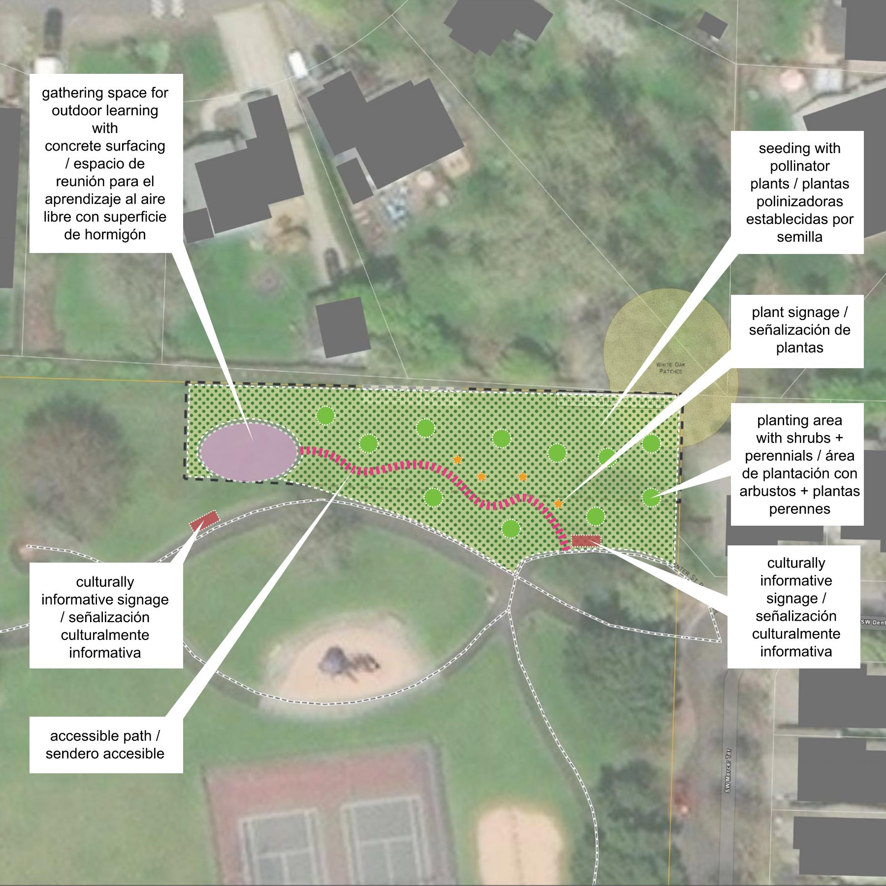 "Descripción de la imagen: Se propone la siembra de plantas autóctonas y señalización interpretativa culturalmente afirmativa en la esquina noreste de Center St Park. Este proyecto está centrado en la creación de un hábitat para polinizadores, incluyendo plantas como algodoncillos. Acercándose a la pradera desde el este en la esquina de SW Denfield y SW Mercer Terrace, este proyecto propone señalización que conecta las historias de los polinizadores con historias humanas culturalmente significativas. Un camino accesible cercano pasará por la pradera restaurada propuesta de plantas, arbustos y especies perennes para polinizadores con letreros que expliquen las plantas a lo largo del camino. El sendero de la pradera también incluirá un círculo de aprendizaje con bancas. También habrá letreros culturalmente informativos que les darán la bienvenida a las personas que entren a la pradera desde el parque.   "