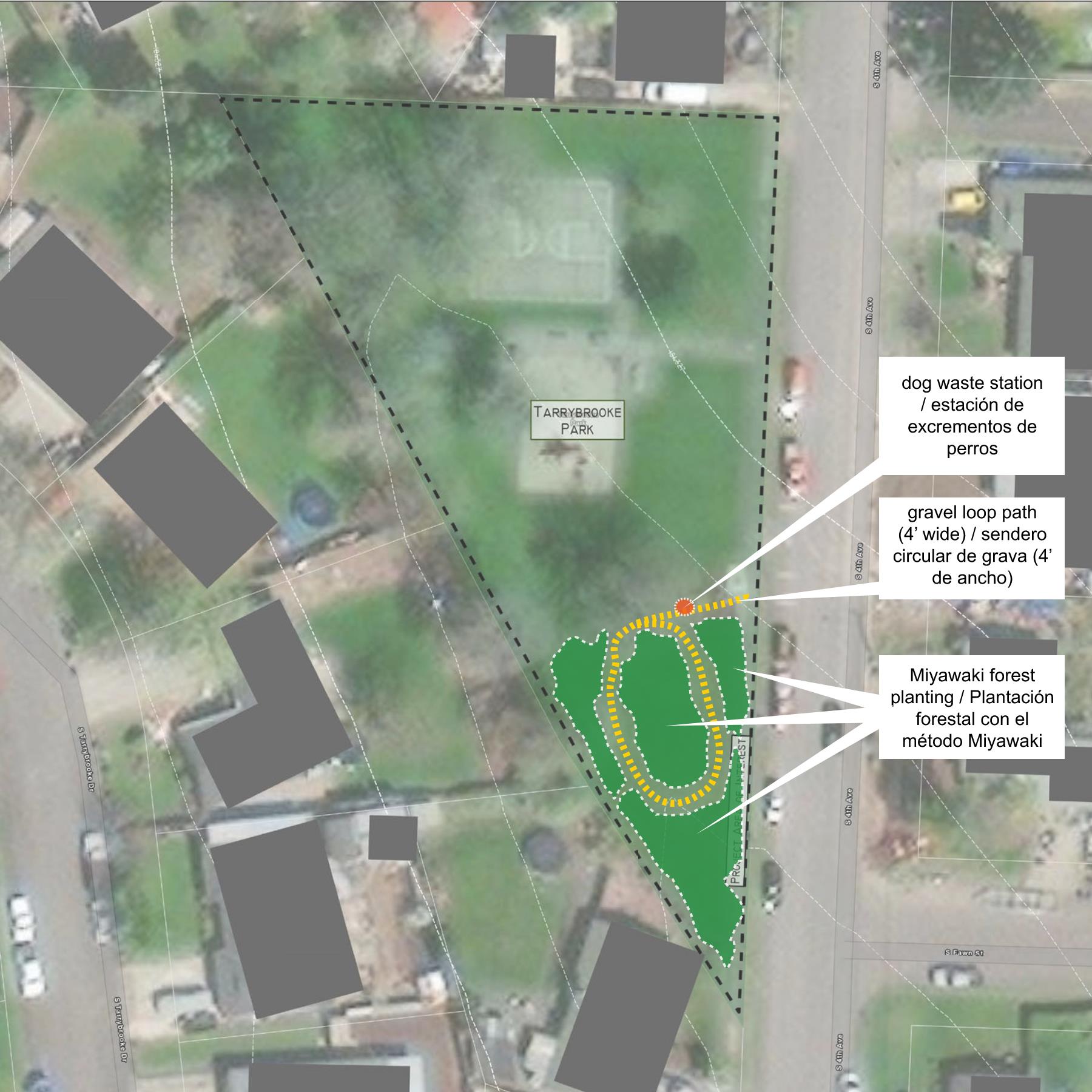 Descripción de la imagen: Se propone colocar un nuevo bosque en la esquina sur de Tarrybrooke Park. Un nuevo sendero circular accesible de grava se conectará con la calle a lo largo de South 4th Ave. El sendero circular pasará por la plantación del bosque Miyawaki y brindará sombra para un vecindario que tiene poca cobertura de copas de árboles. Se proporcionará una estación para residuos caninos.