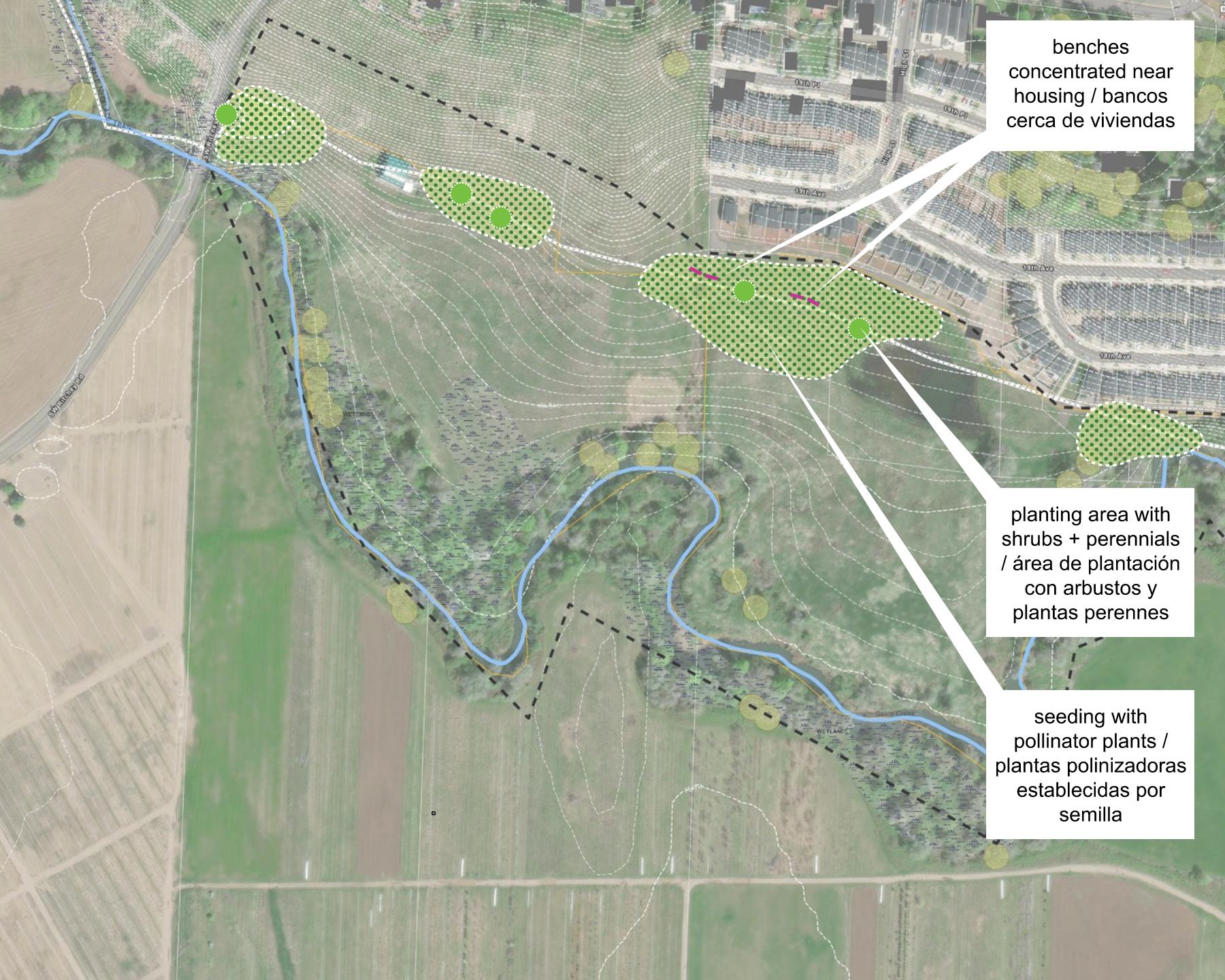 Image alt text: Pollinator planting and benches are proposed along the southern part of Forest Grove Loop Trail to the east of south west Ritchey Road. Gale Creek winds along the south of the trail and residential neighborhoods are to the north. New patches of seeding with pollinator plants will host planting areas of shrubs and perennials. In the patch concentrated closest to the residential area, benches will be provided along the trail, encouraging residents to come be in nature.