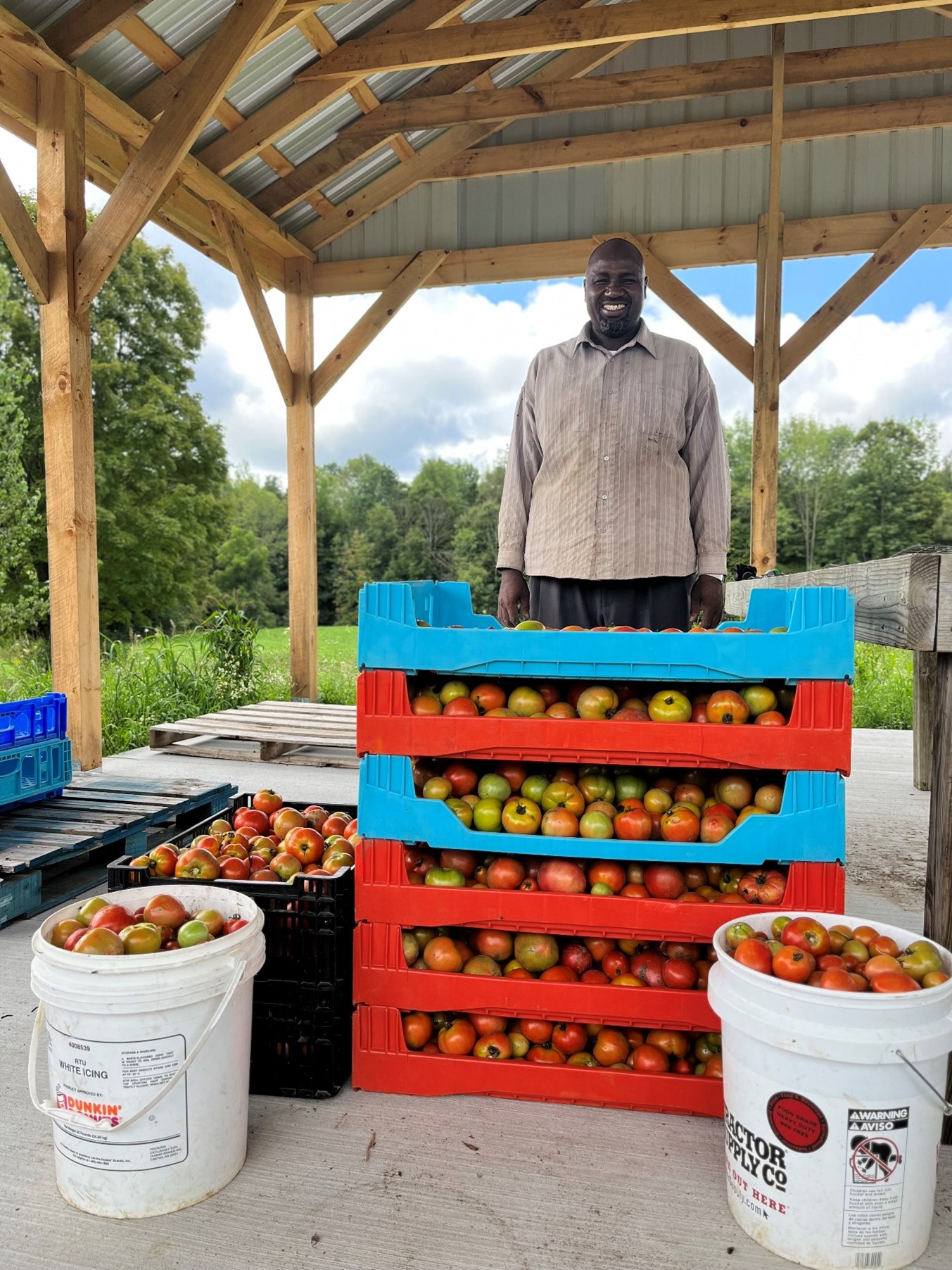 Image for Culturally Significant Produce Donations (Farmer Reimbursement Fund) – Refugee and Self-Empowerment (RISE)