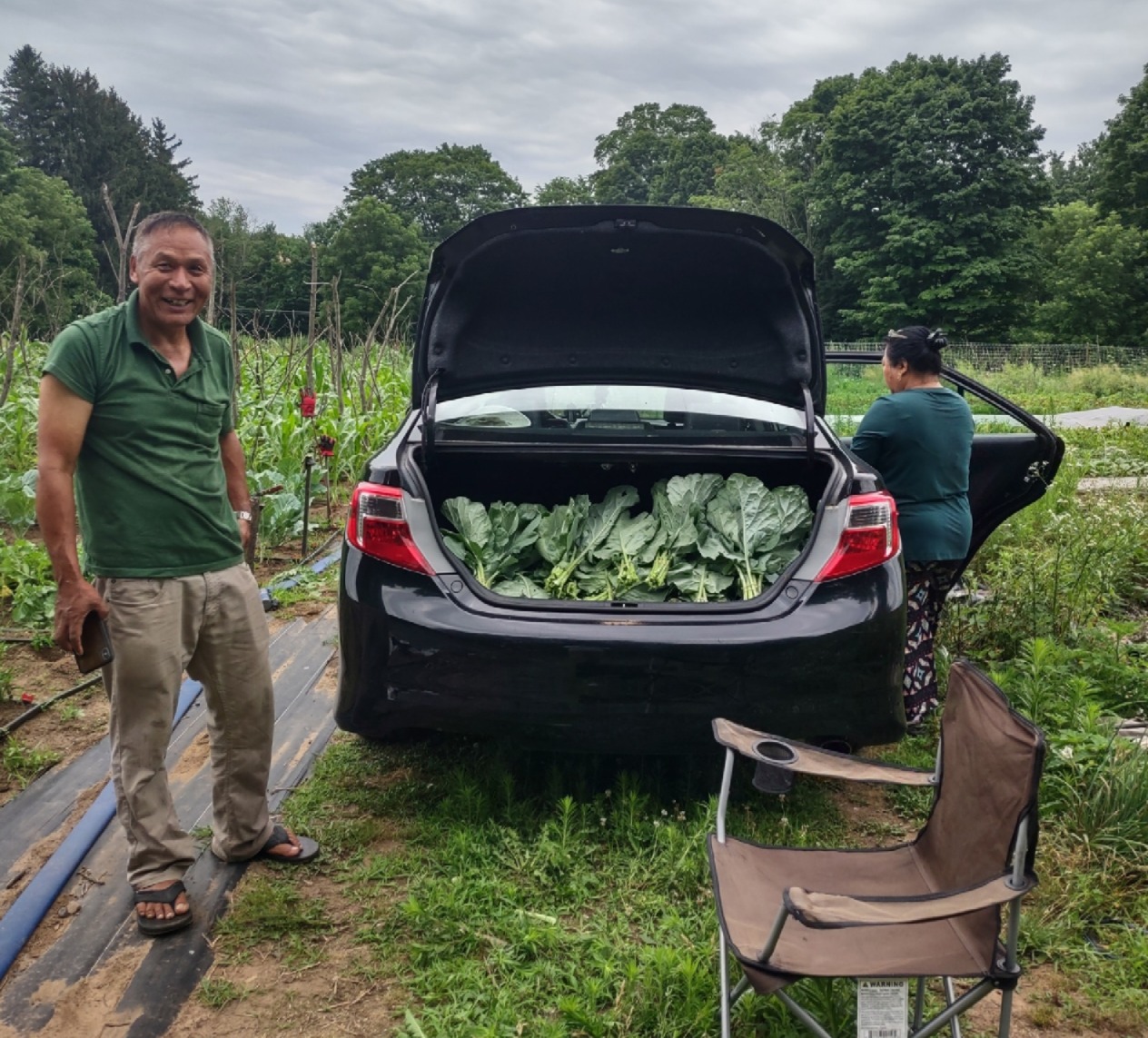 Image for Feeding Soil, Feeding Syracuse