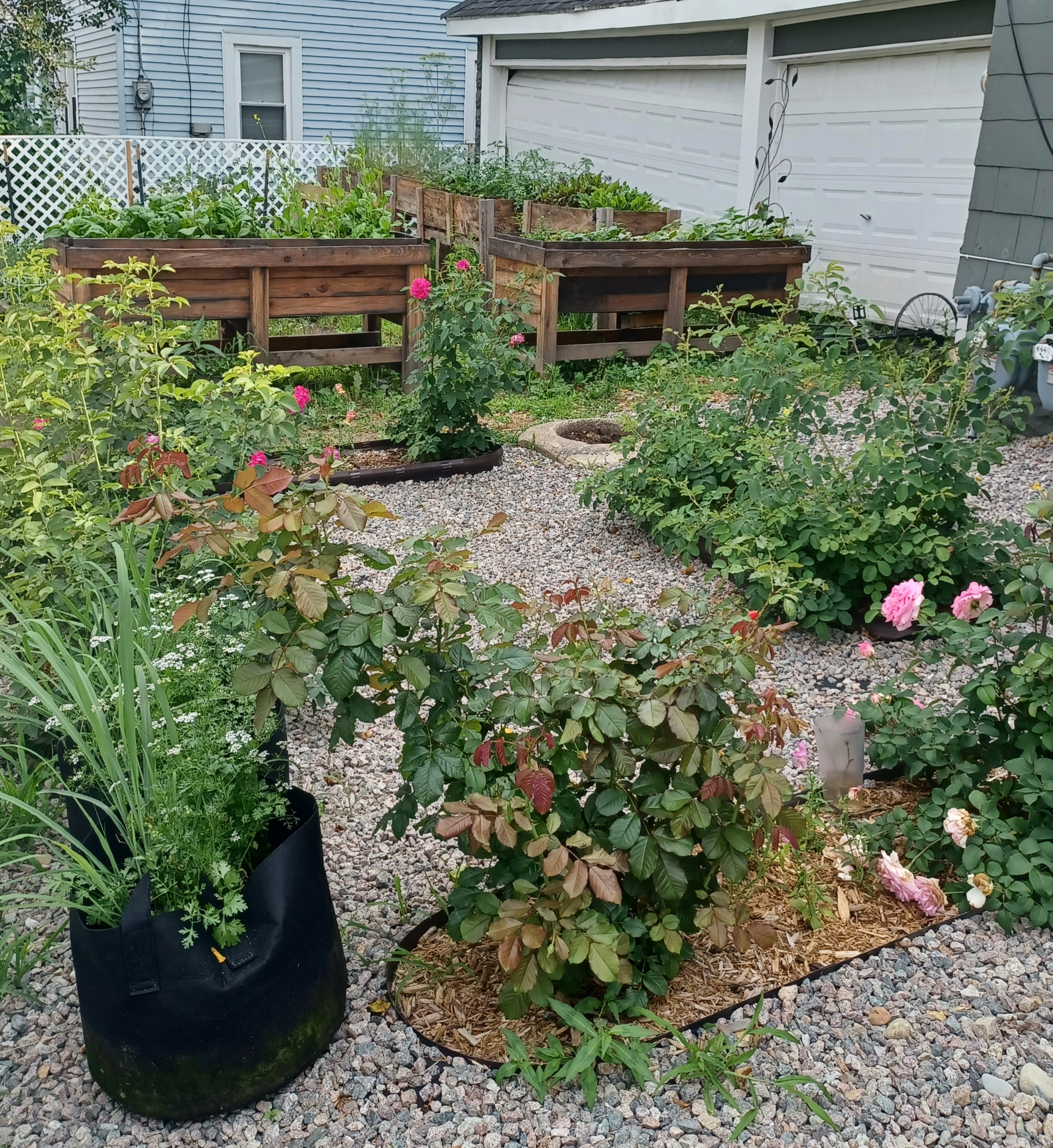 Image for Syracuse West Side Farmer-Owned Cooperative Project