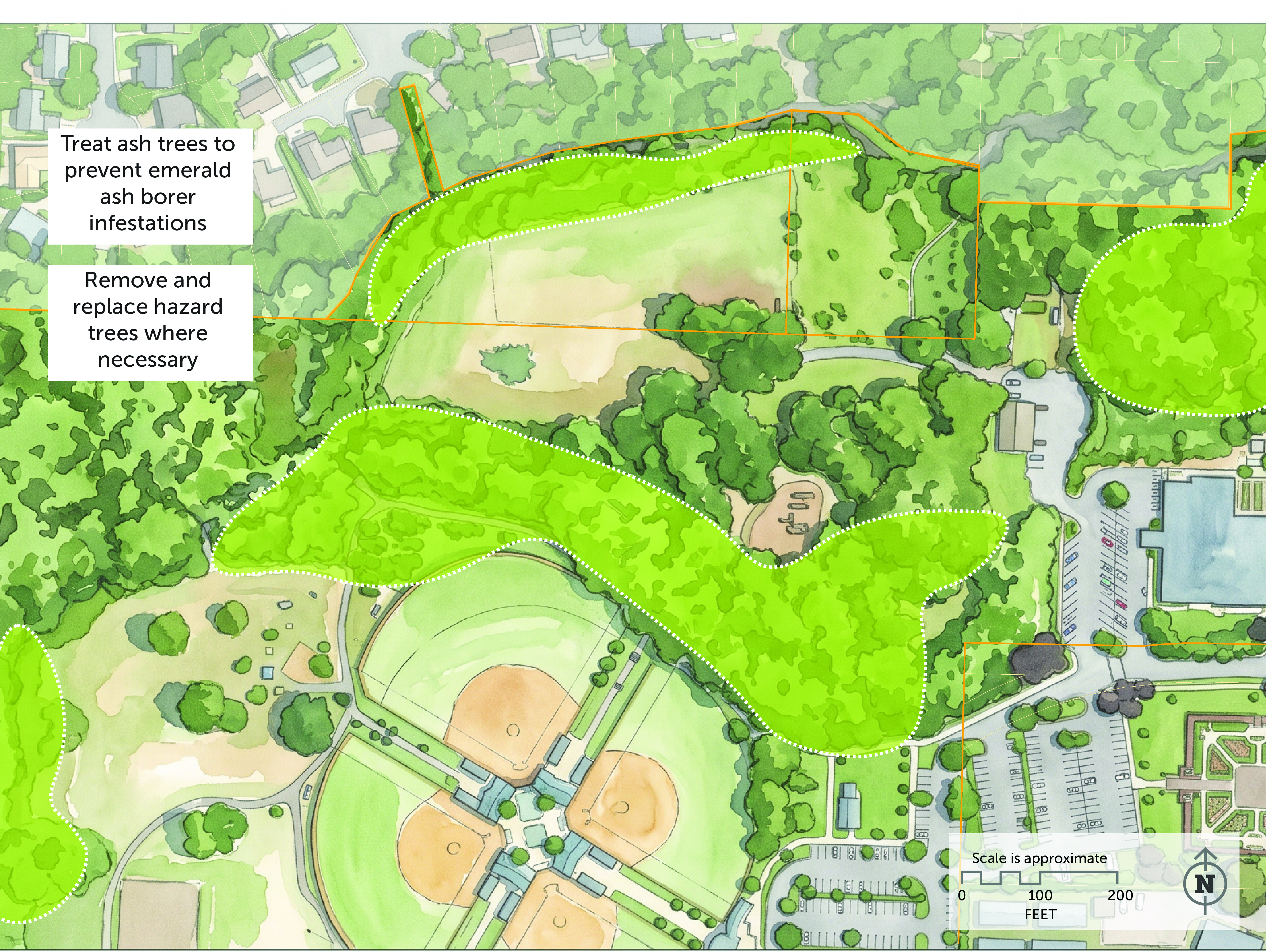 Image for Restoring Floodplain Habitat along Mt Scott and Camas Creeks