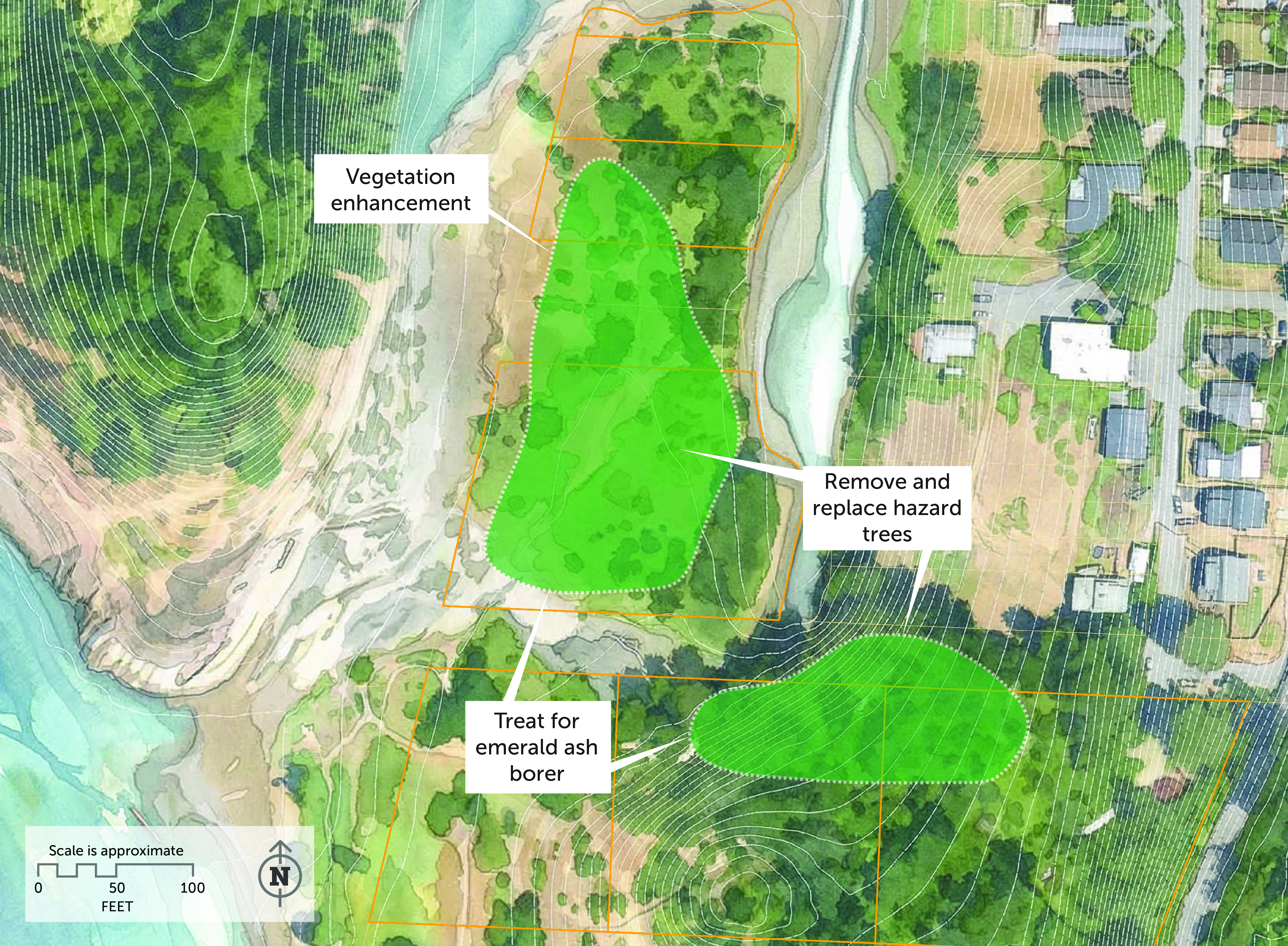 Image for Habitat Restoration at Spring Park