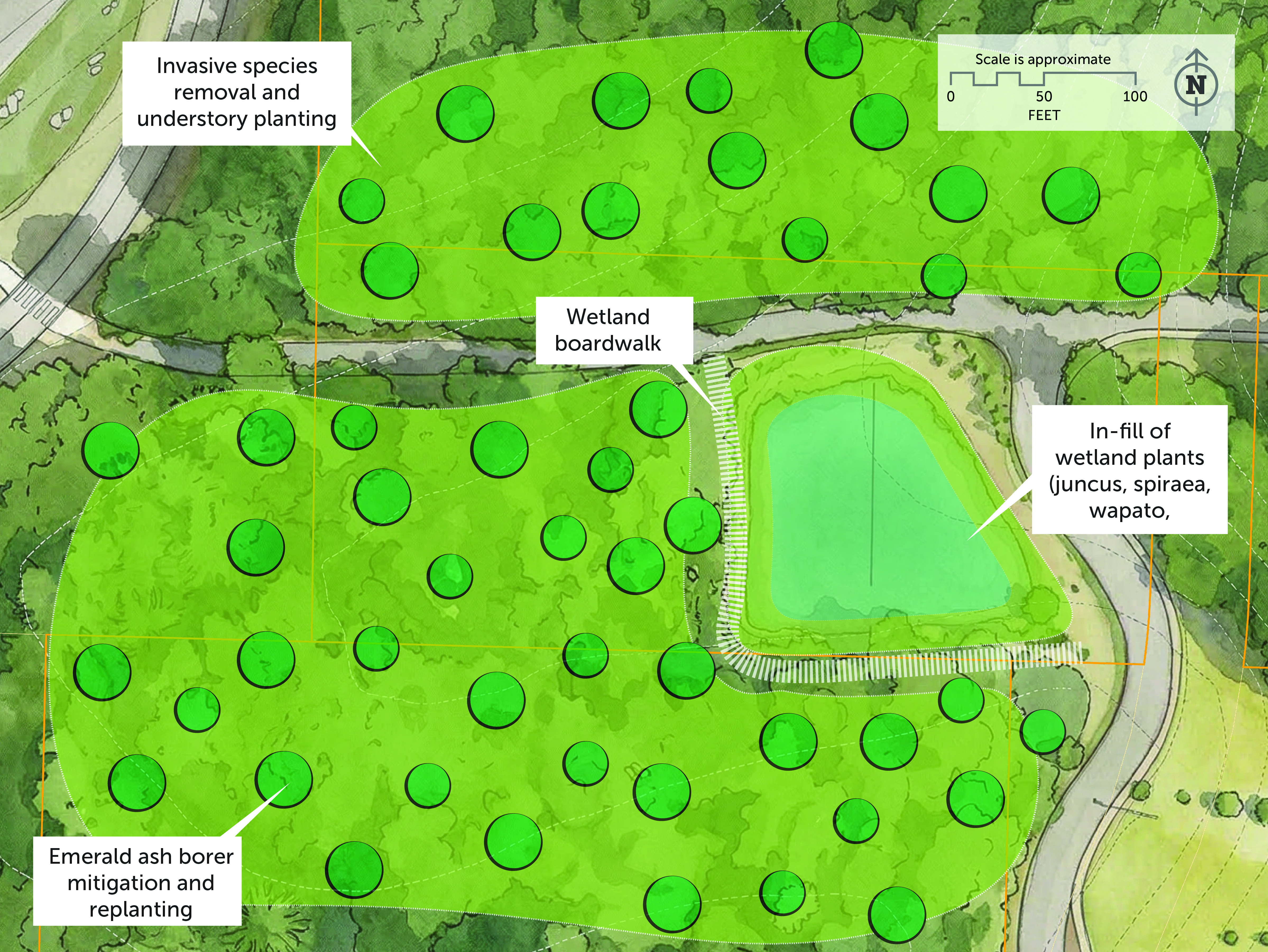 Image for Headwaters Wetland Restoration
