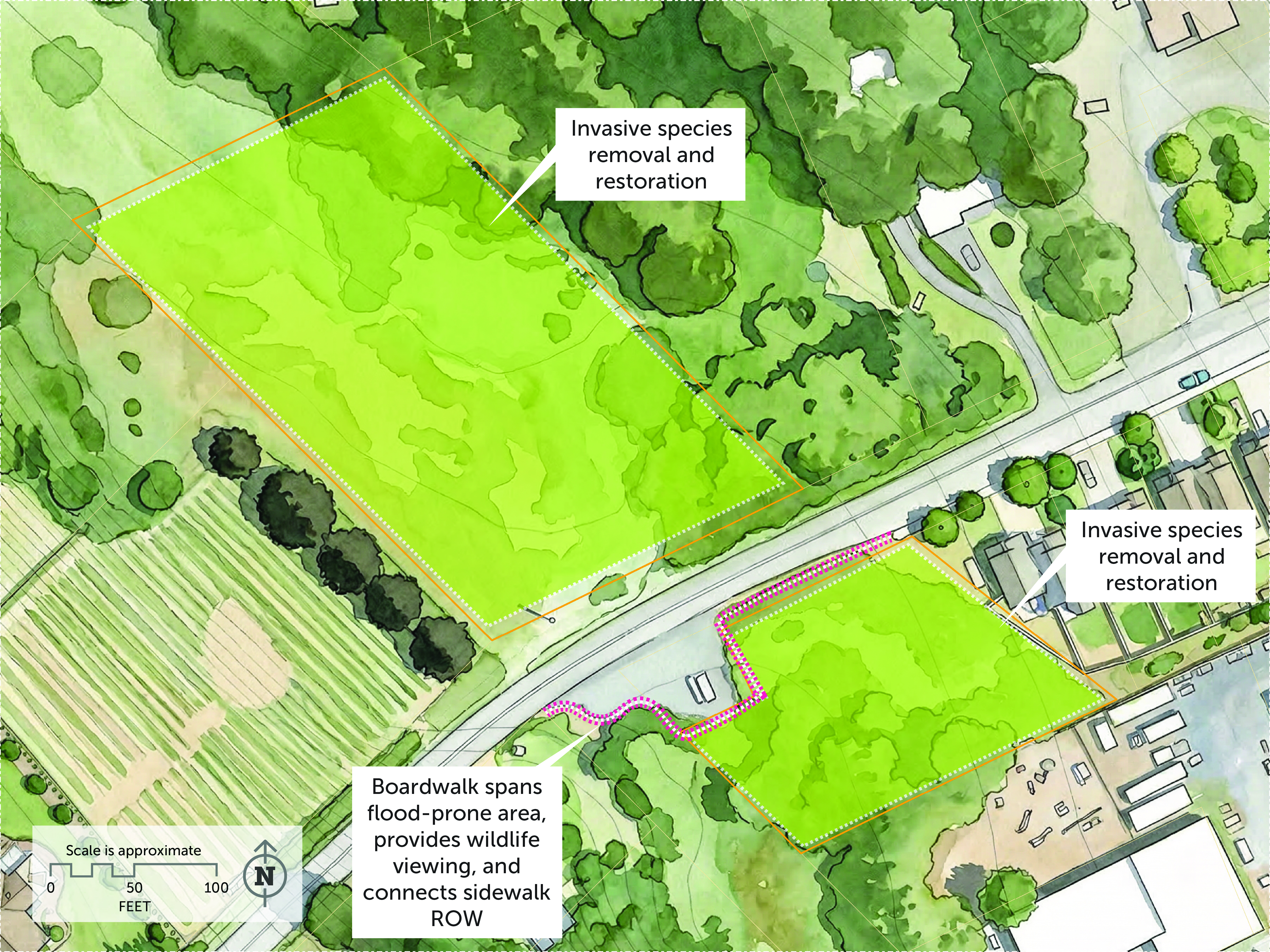 Image for Invasive Plants Removal at Glen Echo Wetlands