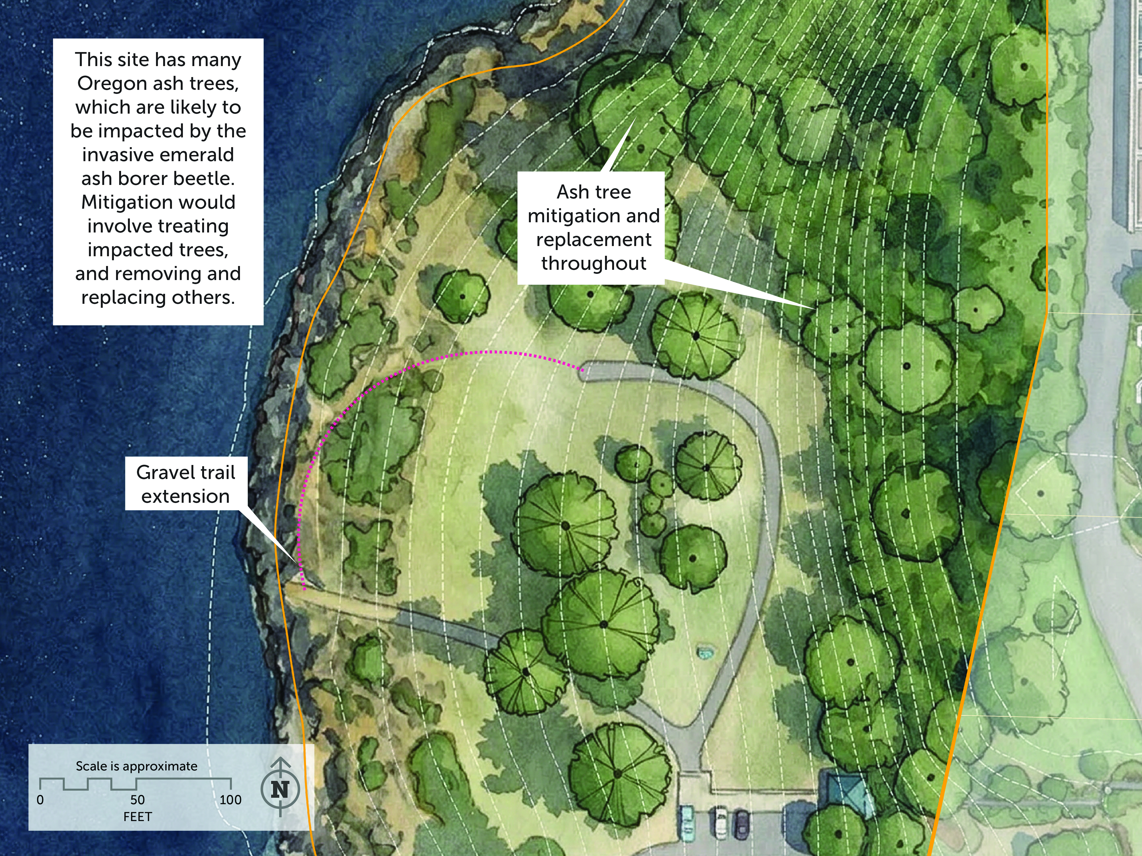 Image for Trail and Habitat Improvements at Rivervilla Park