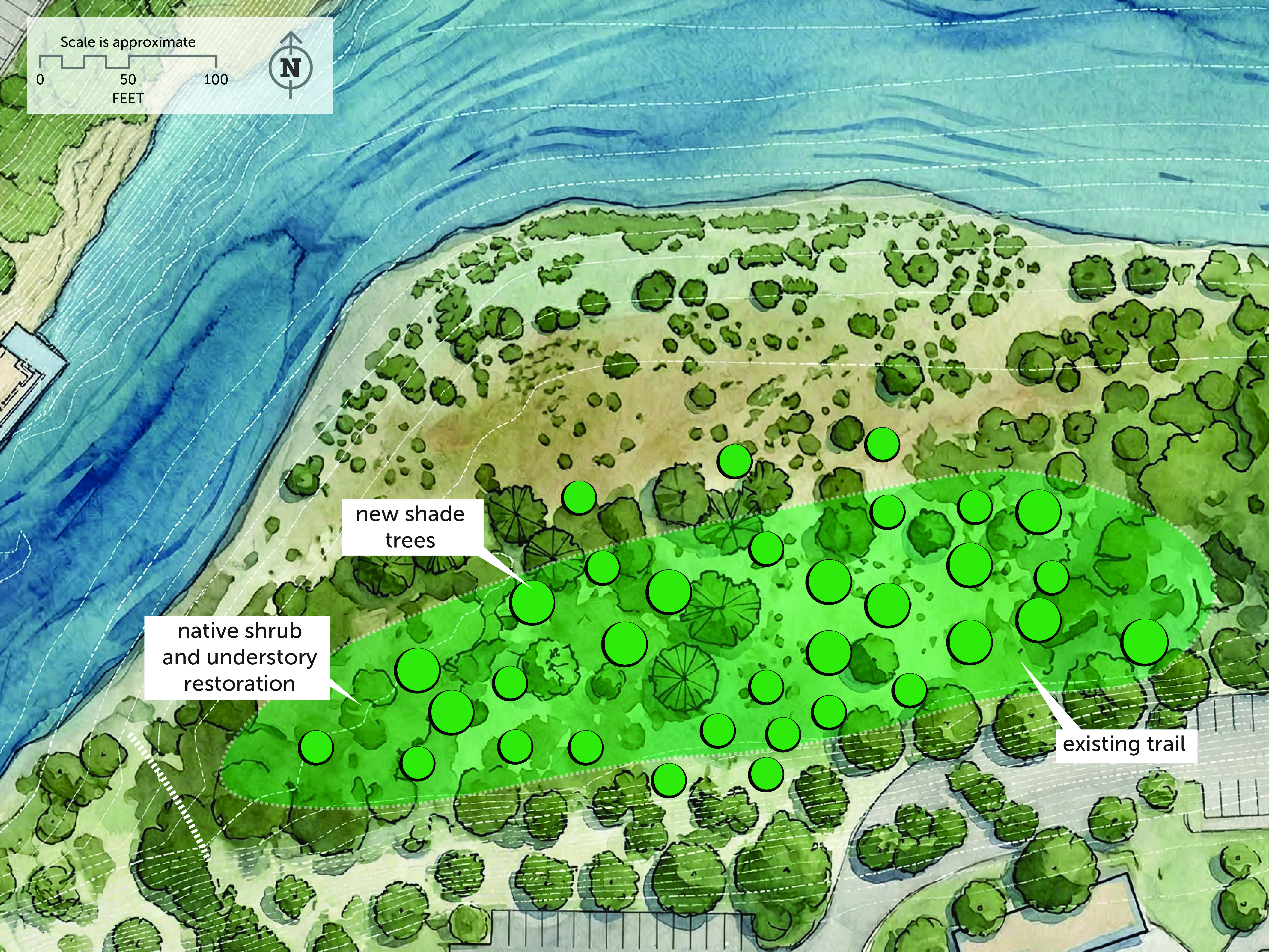 Image for Shade for the Clackamas River Southbank